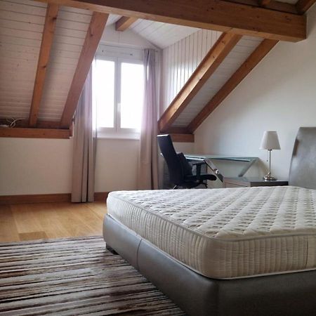 Penthouse In Cologny Switzerland Διαμέρισμα Γενεύη Εξωτερικό φωτογραφία