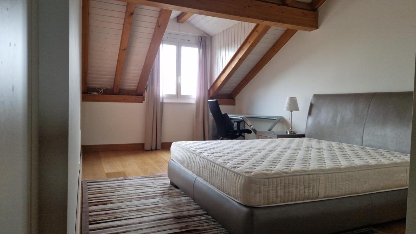 Penthouse In Cologny Switzerland Διαμέρισμα Γενεύη Εξωτερικό φωτογραφία