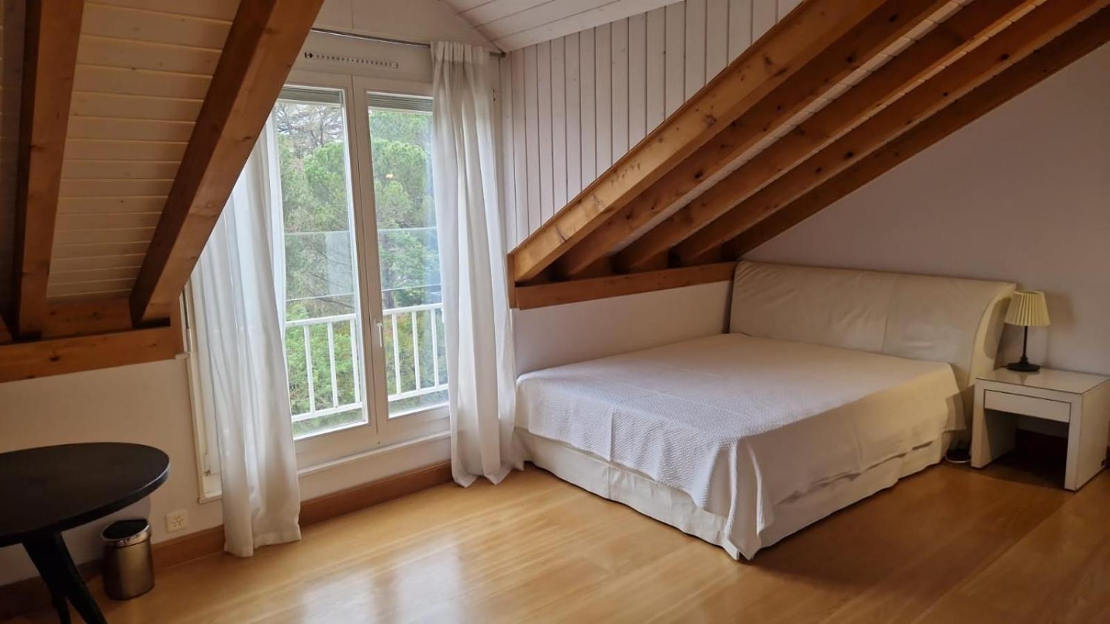 Penthouse In Cologny Switzerland Διαμέρισμα Γενεύη Εξωτερικό φωτογραφία